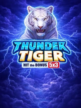 Thunder Tiger v Nine Casino
